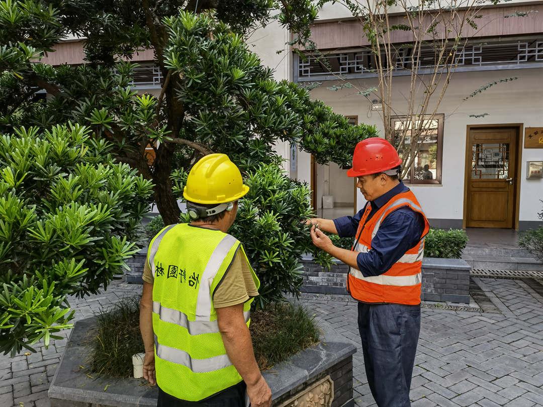 菲律宾网赌合法平台十一月日常养护